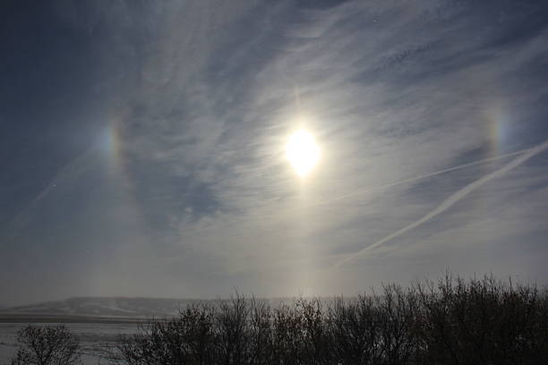 Foggy ice crystals and cold mornings in the valley make great photos.