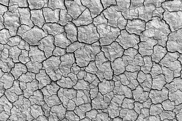 The background is dry and cracked soil,Dry mud soil land, cracked earth backdrop background well free space banner background with environment concept.