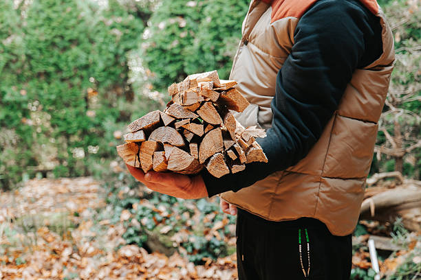 istock Person Carrying Firewood Outdoors 2247132519