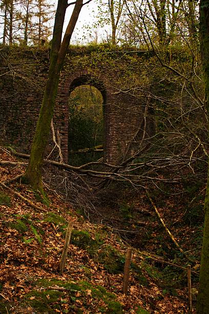 istock view of the Stark Arch inside the forest 2247135108