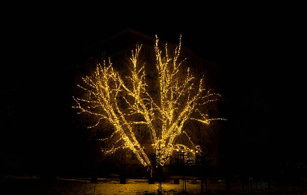 istock A large festive light tree in the city park 2247135114