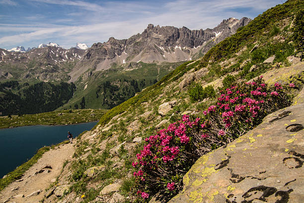 istock Claree Valley,nevache,hautes alpes 2247136332