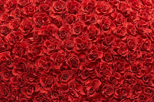 istock A screen full of red roses 2247140553