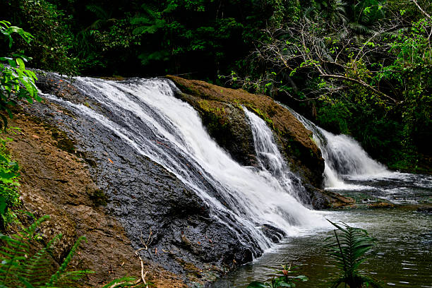 Ngatpang State, Babeldaob Island, Caroline Islands, Palau: Tabecheding Waterfall, also known as Ngatpang Waterfall, is a jungle cascade in Ngatpang State on Babeldaob Island, Republic of Palau, plunging into a wide pool suitable for swimming amid lush tropical surroundings. Reachable by a short five-minute trail from the main road - Tabecheding / Tabagaten River - UNESCO biosphere reserve
