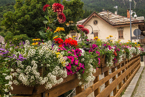 istock province of piemont 2247142462