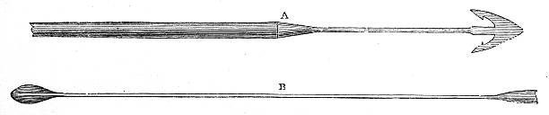 Antique zoology animal illustration: Whale hunting weapons