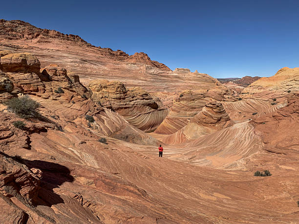 istock Scenic sandstone formations of The Wave in Arizona. 2247144786