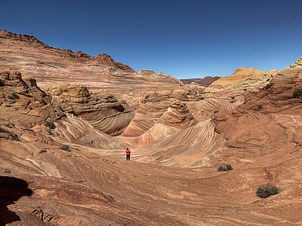 istock Scenic sandstone formations of The Wave in Arizona. 2247144787