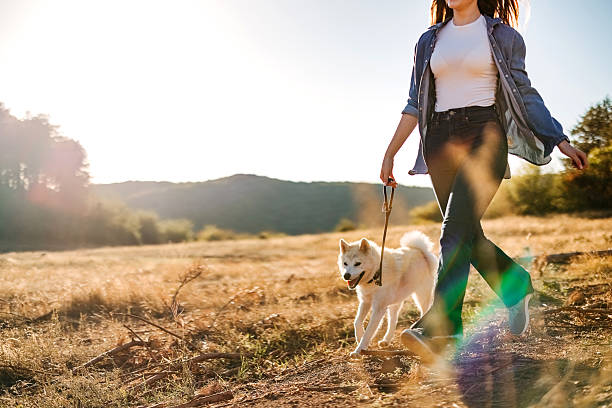 istock Beautiful girl with a beautiful dog 2247147116
