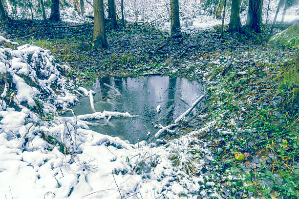 Yedigoller in Winter