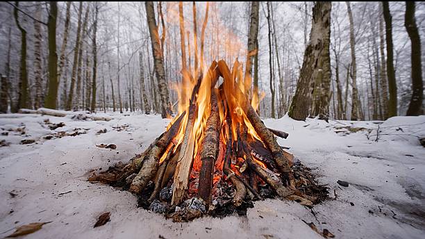 istock Crackling Campfire in the Winter Birch Forest 2247152048