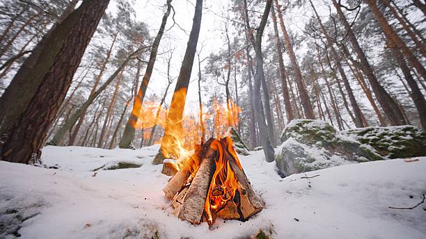 istock Crackling Campfire in the Winter Forest 2247152079