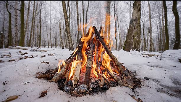 istock Crackling Campfire in the Winter Birch Forest 2247152133