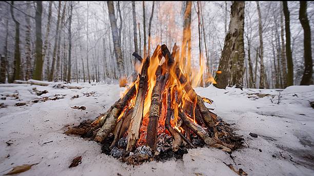 istock Crackling Campfire in the Winter Birch Forest 2247152184