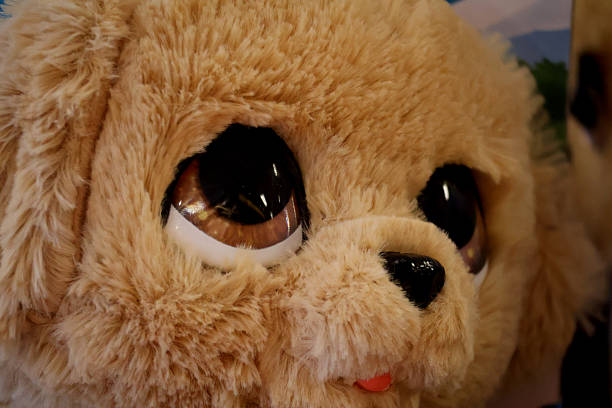 istock Close up of a cute dog plush 2247153453