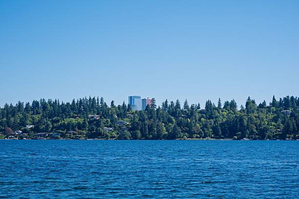 istock Lake Washington view from Mercer Island 2247154994