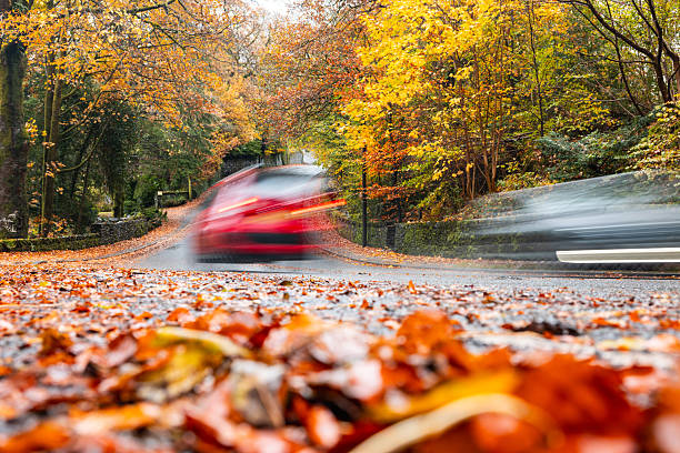 Red car motion blurring along a winding country road during autumn, with colorful fall leaves covering the ground