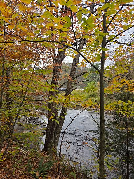 istock View of a river and trees with fall colored leaves 2247157387
