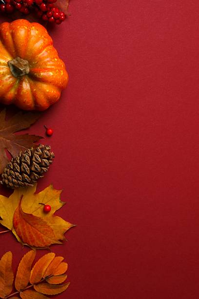 istock Vertical autumn scene featuring colorful leaves, berries on red background 2247158092