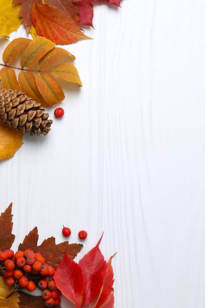 istock Autumn leaf frame with berries and leaves for seasonal decor and vertical layout 2247158111