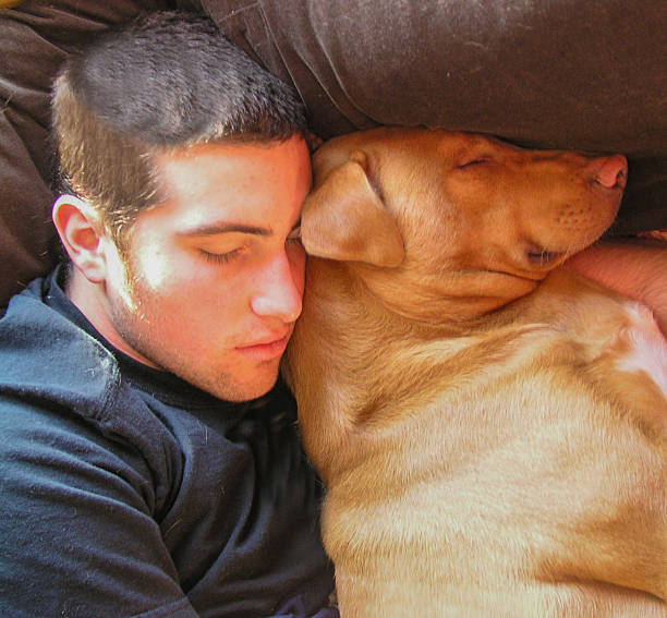 istock Young boy snuggling with his dog. 2247158824