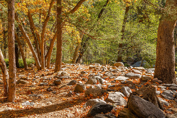 Colorful fall and autumn photos of the Oak Creek and Sedona Arizona area. Images show water river and creek surrounded by golden sunlight yellow red and green leaves and foilage. The sky is blue and filtered sunlight dapples in the shadows. An abandoned red brick building set amongst tall dry grass and a path leading to the front. Stunning scenics along the Oak Creek trail trailhead hiking area. Beautiful and vibrant rock formations and vivid reflections.