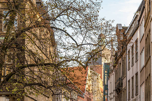 A tree with leaves is in front of a building in Munster Germany. The leaves are yellow and brown. The tree is in the middle of the street