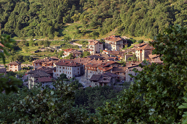 istock Villaggio alpino 2247173266