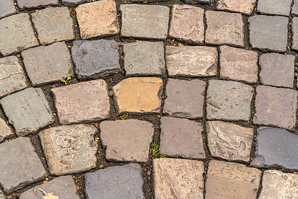 istock A brick walkway with a small green plant growing out of it 2247173430