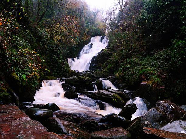 Torc Waterfall in Killarney National Park, County Kerry, Ireland