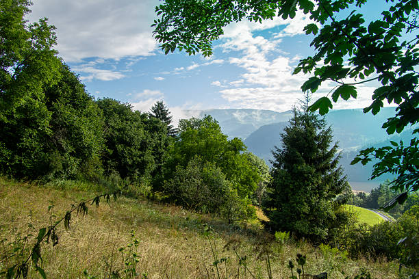 Vistara over the Austrian mountains in Kaernten. Photo was taken just after sunrise.