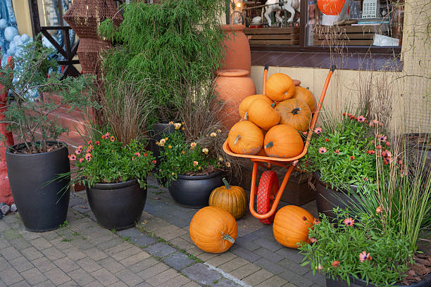 istock Autumn Pumpkins in Garden Wheelbarrow 2247178805