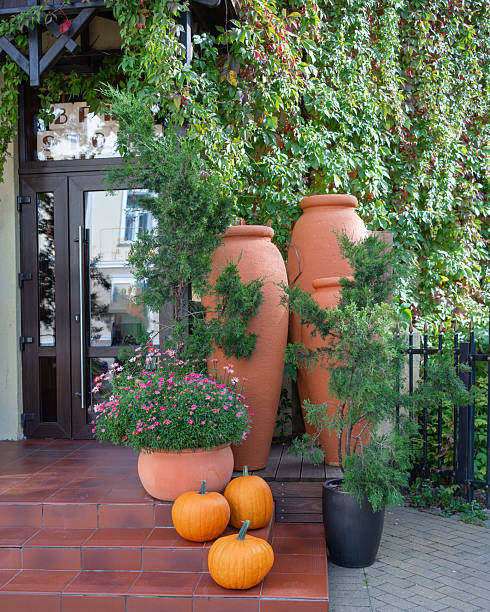 istock Seasonal Outdoor Arrangement 2247178835