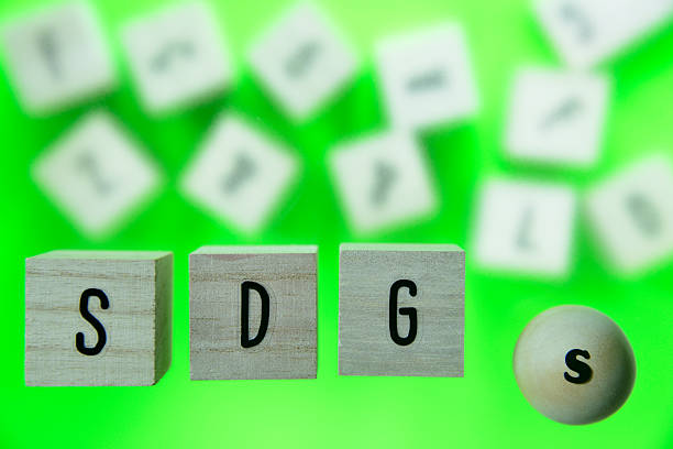 istock Image of SDGs made from building blocks 2247179872
