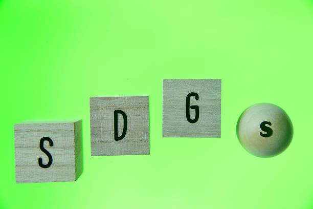 Image of SDGs made from building blocks