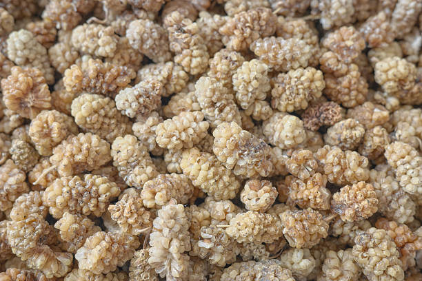 istock Close up photo of dried white mulberry, selective focus. 2247180821