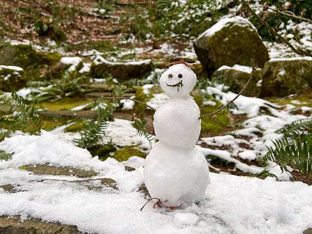 istock Small Snowman Standing in a Winter Garden 2247183261