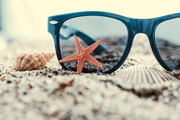 Sunglasses and starfish on sand with seashells. Travel concept
