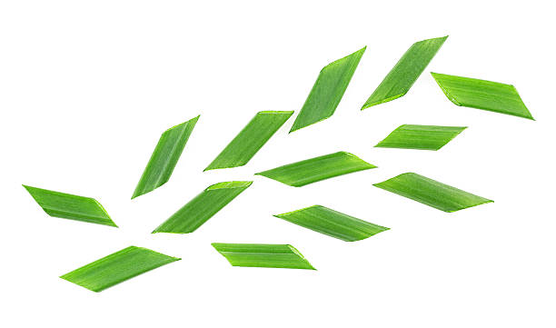 istock Fresh chopped green onion isolated on a white background, top view.  Scallion greens pieces. Chives. 2247187723