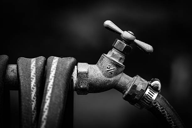 Outdoor faucet and hose in monochrome