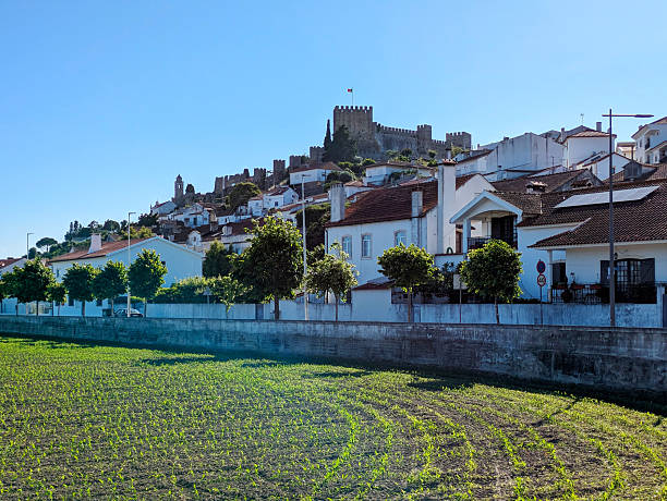 Montemor-o-Velho old town Portugal