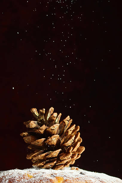 Stock photo showing close-up view of a traditional, dome-shaped panettone, an Italian sweet bread, decorated with a pinecone and  being dusted with sifted icing sugar.