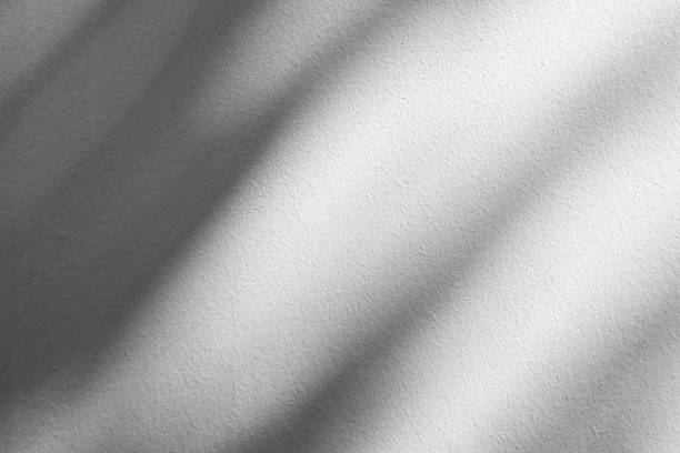 istock Abstract natural tree branch leaves shadow on white wall background 2247202873