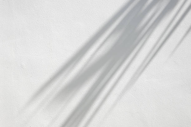 istock Abstract natural tree branch leaves shadow on white wall background 2247203118