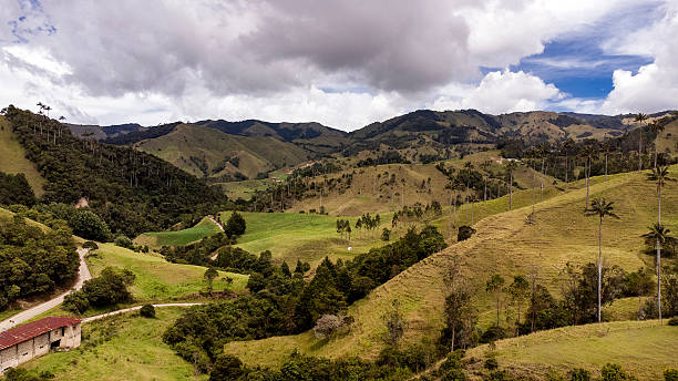 istock Samaria Valley, Wax Palm Forest - San Felix District 2247203506
