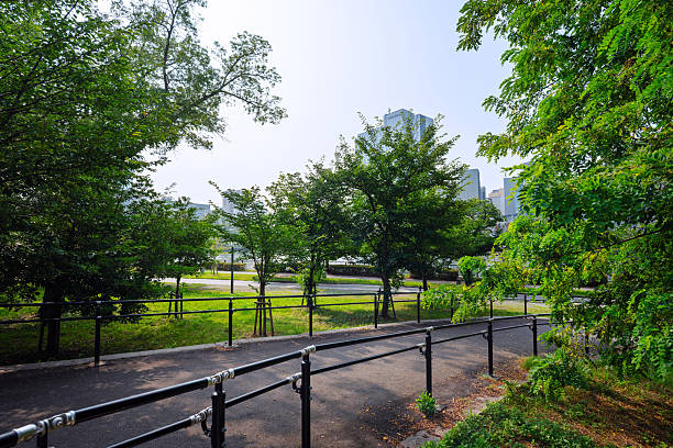 istock Sunny day at Kema Sakuranomiya Park 2247206036