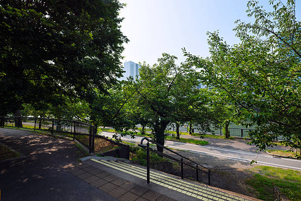 istock Sunny day at Kema Sakuranomiya Park 2247206037