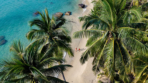 istock Discover Koh Koods serene beaches, lush palms, and crystal-clear waters in Thailand 2247206143
