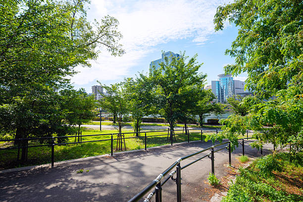istock Sunny day at Kema Sakuranomiya Park 2247206172