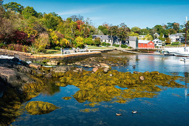 istock Camden Maine USA 2247206226